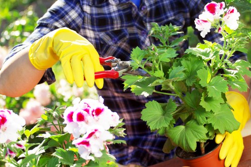 Volunteers planting in a community garden in Tottenham