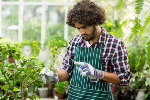 Gardener working on a Tottenham front garden