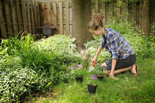 Group of diverse volunteers in a Tottenham garden